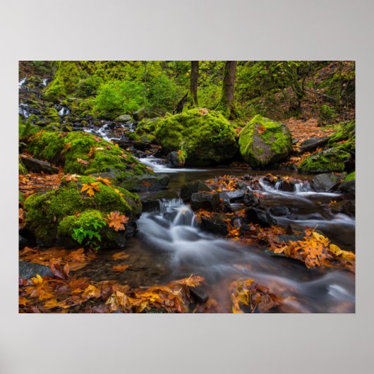 Starvation Creek Herfsten | Columbia Gorge, Oregon Poster (Voorkant)