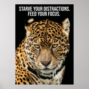 Starve Distracties, Feed Focus - Tijger Succes Poster