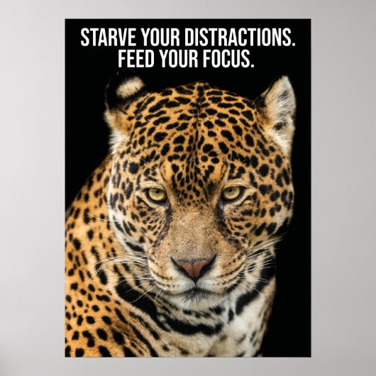 Starve Distracties, Feed Focus - Tijger Succes Poster (Voorkant)