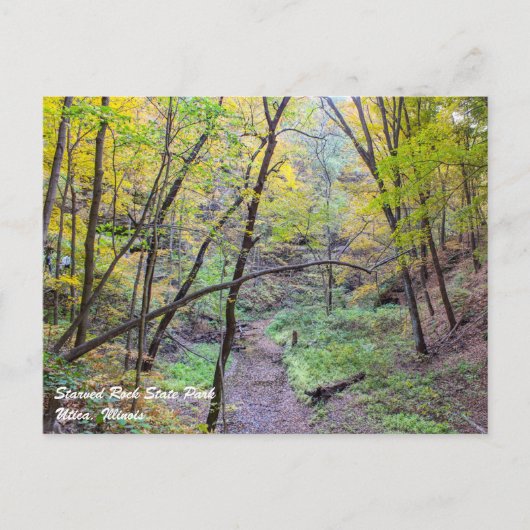 Starved Rock Briefkaart (Voorkant)