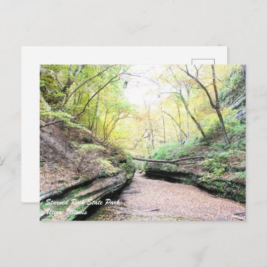 Starved Rock Briefkaart (Voorkant / Achterkant)