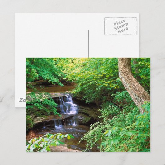 Starved Rock Park Briefkaart (Voorkant / Achterkant)