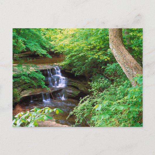 Starved Rock Park Briefkaart (Voorkant)