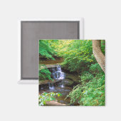 Starved Rock Park Magneet (Voorkant / Achterkant)