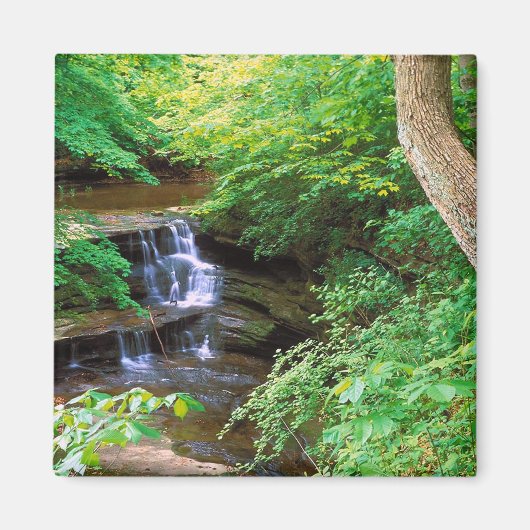 Starved Rock Park Magneet (Voorkant)