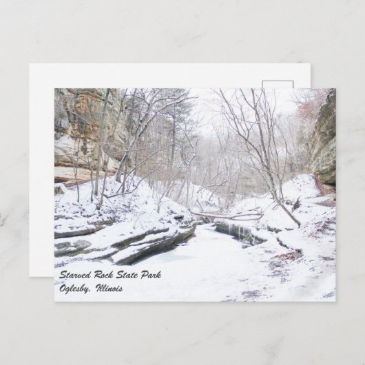 Starved Rock State Park Briefkaart (Voorkant / Achterkant)