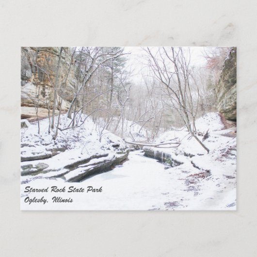 Starved Rock State Park Briefkaart (Voorkant)