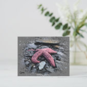 Starvis - Briefkaart (Staand voorkant)