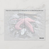 Starvis - Briefkaart (Achterkant)