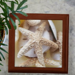 Starvis en goudmakreelhout cadeaudoosje<br><div class="desc">De prachtige natuurlijke schatten van de Zee houten juwelendoos,  met zeester en sanddollars,  zullen uw hoeken prachtig vasthouden. Dit afbeelding is een originele strandfoto van JLW_PHOTOGRAPHY</div>