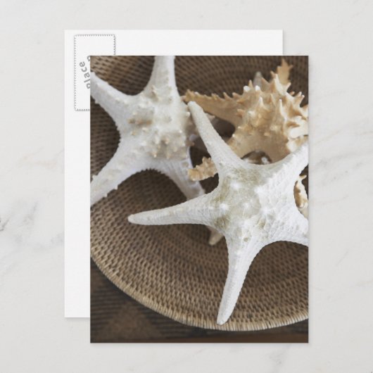 Starvis in een mand briefkaart (Voorkant / Achterkant)