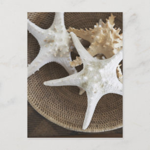 Starvis in een mand briefkaart