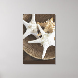 Starvis in een mand canvas afdruk