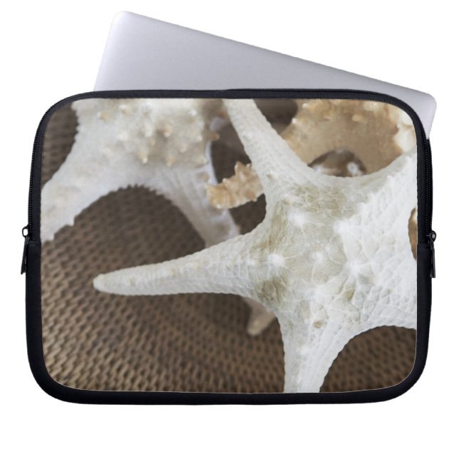 Starvis in een mand laptop sleeve (Voorkant)