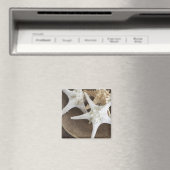 Starvis in een mand magneet (Insitu (Vaatwasser))