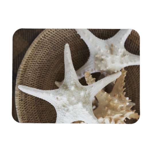 Starvis in een mand magneet (Horizontaal)