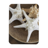 Starvis in een mand magneet (Verticaal)