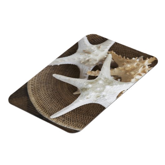 Starvis in een mand magneet (Linkerzijde)