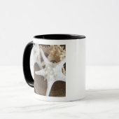 Starvis in een mand mok (Voorkant links)