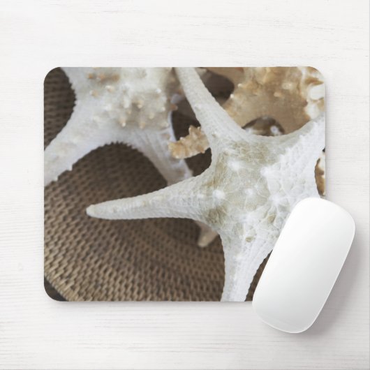 Starvis in een mand muismat (Met muis)