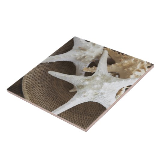 Starvis in een mand tegeltje (Zijkant)