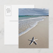 Starvis op een afstandsstrand briefkaart (Voorkant / Achterkant)