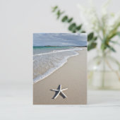 Starvis op een afstandsstrand briefkaart (Staand voorkant)