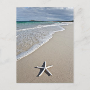 Starvis op een afstandsstrand briefkaart