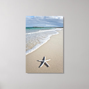Starvis op een afstandsstrand canvas afdruk