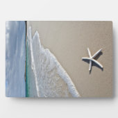 Starvis op een afstandsstrand fotoplaat (voorkant)