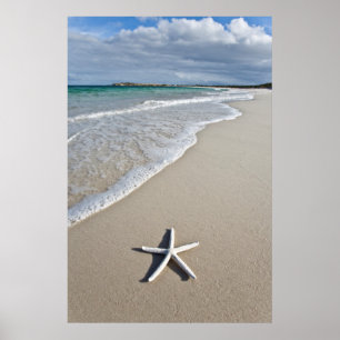 Starvis op een afstandsstrand poster