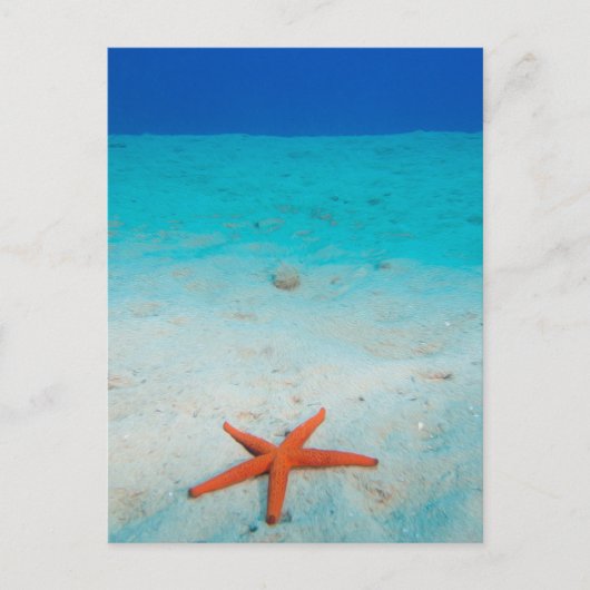 Starvis op een zandduin onder water briefkaart (Voorkant)