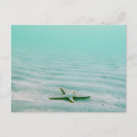 STARVIS OP ZEEBED BRIEFKAART (Voorkant)
