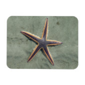 Starvis Paarse zee ster op strand Magneet (Horizontaal)