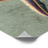 Starvis Paarse zee ster op strand Poster (Hoek)