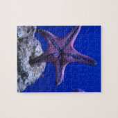 Starvis, Star Bright! Legpuzzel (Horizontaal)