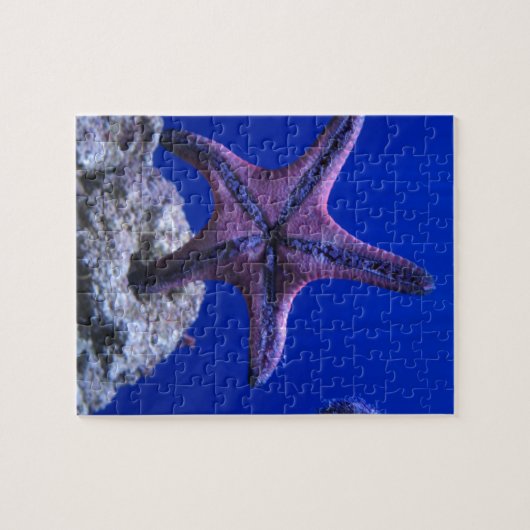 Starvis, Star Bright! Legpuzzel (Horizontaal)