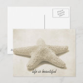 Starvissen Briefkaart (Voorkant / Achterkant)