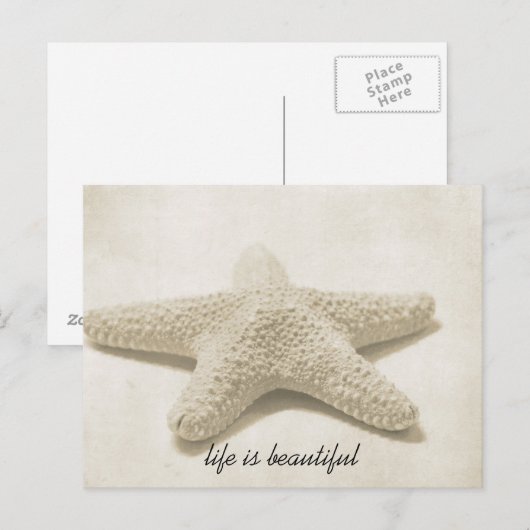 Starvissen Briefkaart (Voorkant / Achterkant)