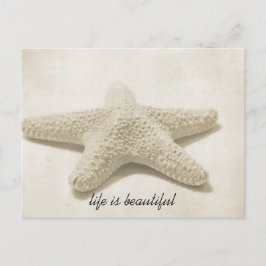 Starvissen Briefkaart