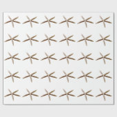 Starvissen Cadeaupapier (Vlak)