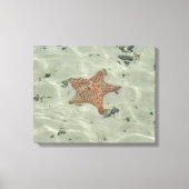 Starvissen Canvas Afdruk (Voorkant)