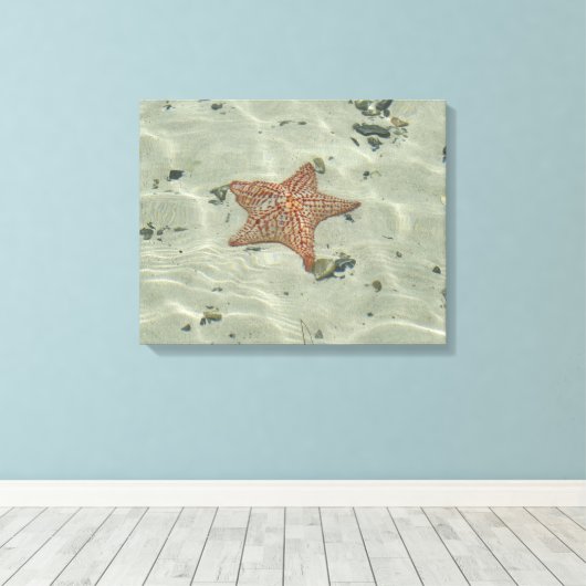 Starvissen Canvas Afdruk (Insitu (Houten vloer))