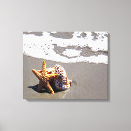 Starvissen en schaal- en schelpdieren canvas afdruk