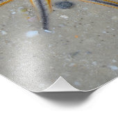 Starvissen Foto Afdruk (Hoek)