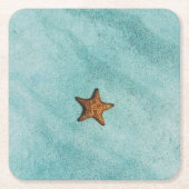 Starvissen Kartonnen Onderzetters (Voorkant)