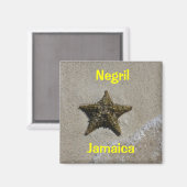 Starvissen Magneet (Voorkant / Achterkant)