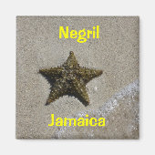 Starvissen Magneet (Voorkant)