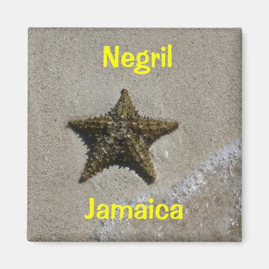 Starvissen Magneet (Voorkant)