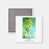 Starvissen Magneet (Voorkant / Achterkant)